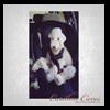 dog-care-houston-carillon-cares-082