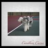 dog-care-houston-carillon-cares-090